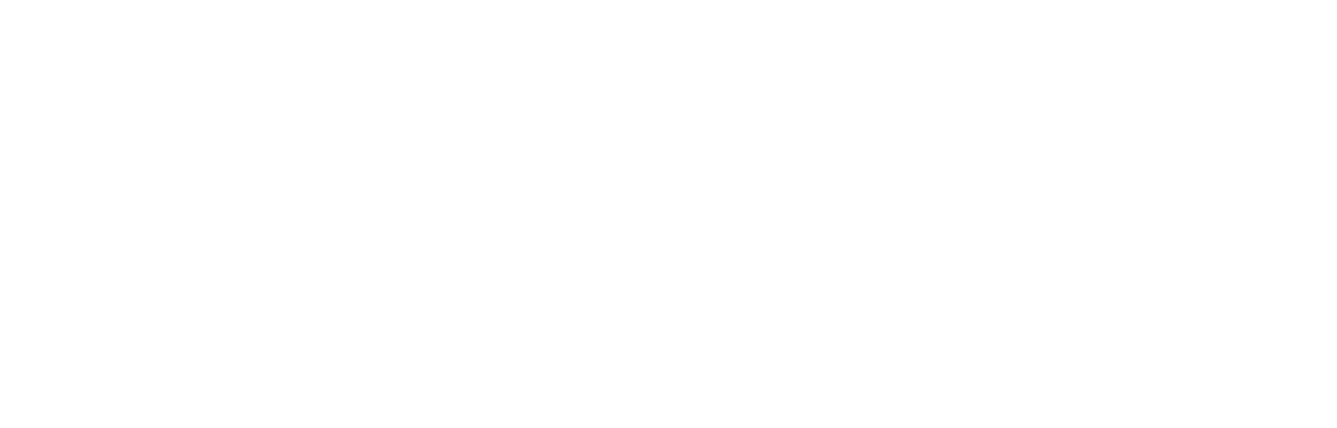 Ethara AI